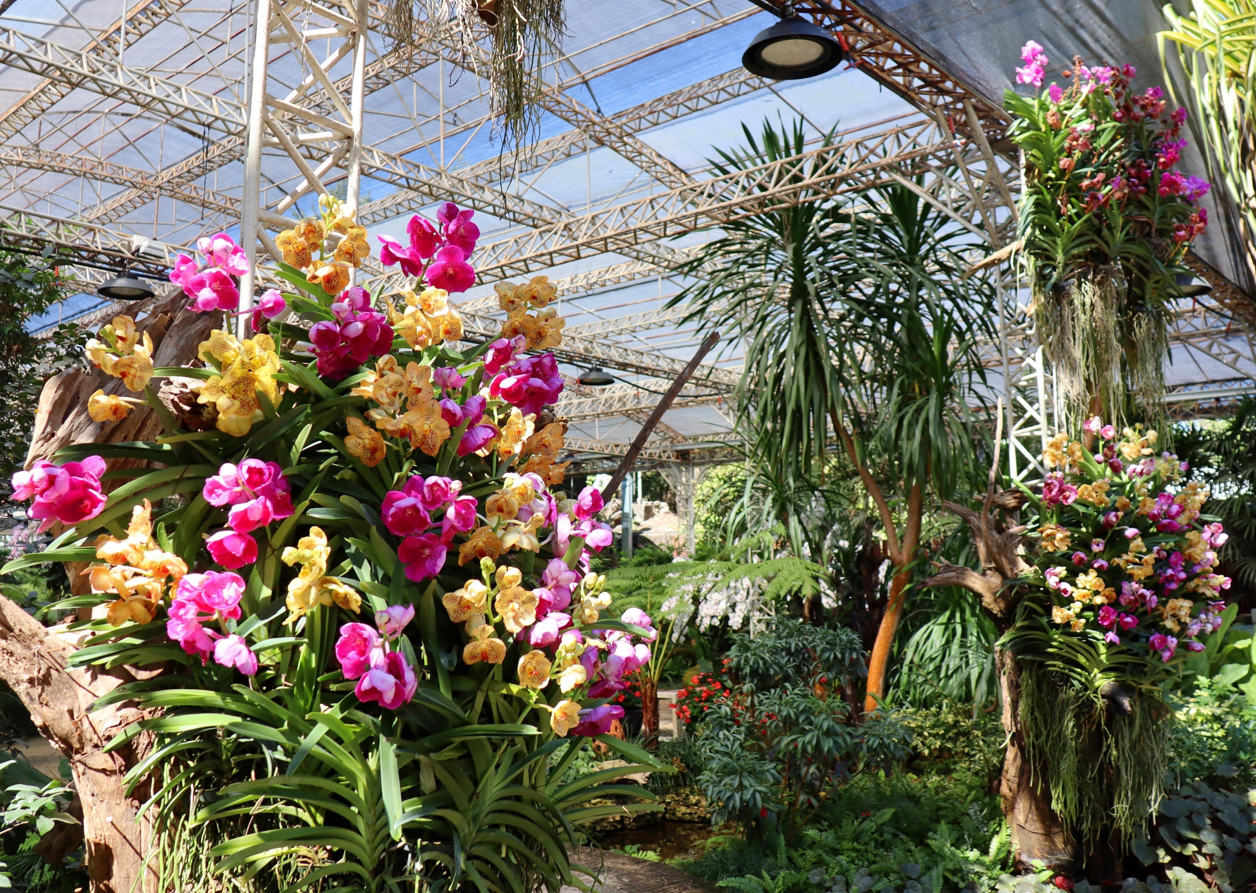 Darjeeling & Gangtok Tour Package Image 3