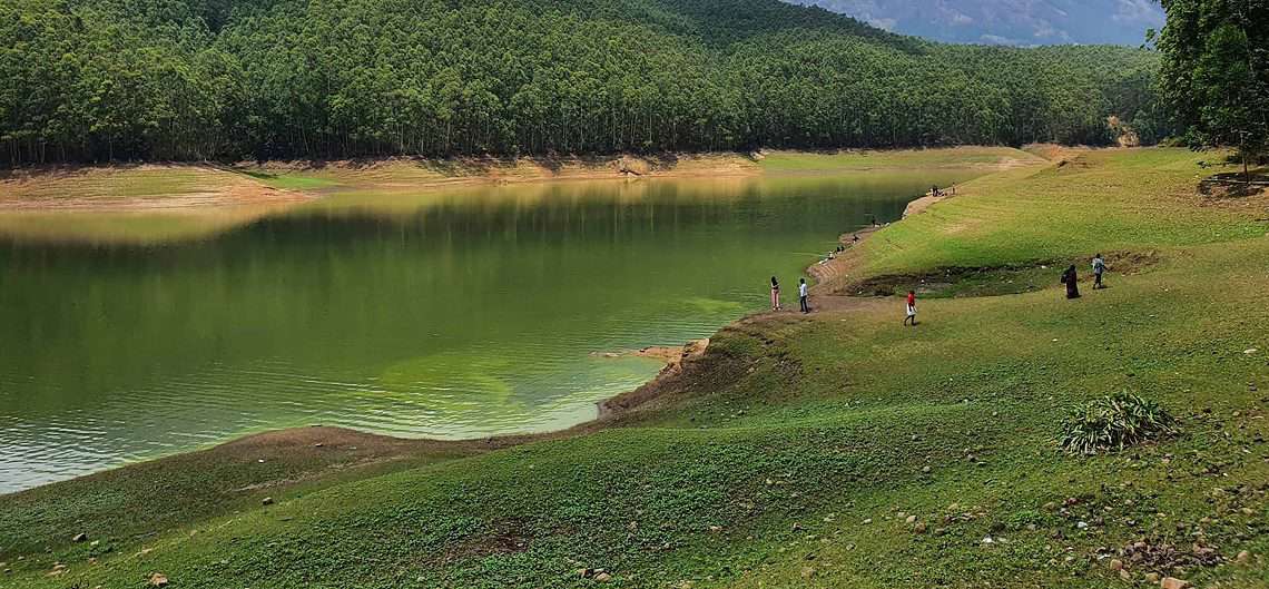 Munnar Tour Package Image 3