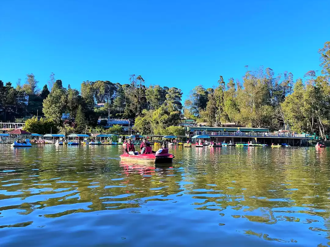 Ooty, Coimbatore Tour Package Image 2