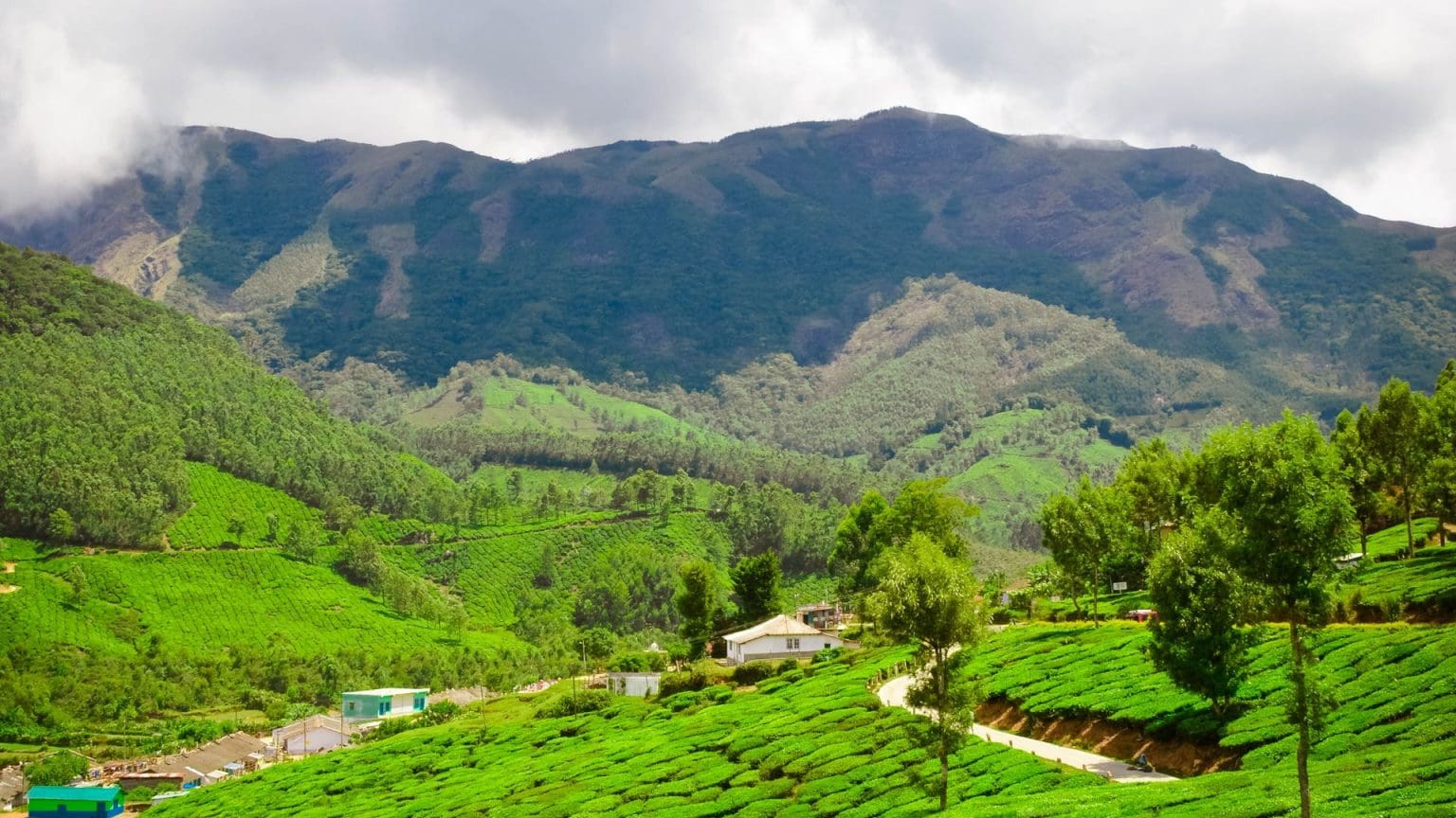 Munnar Tour Package Image 7