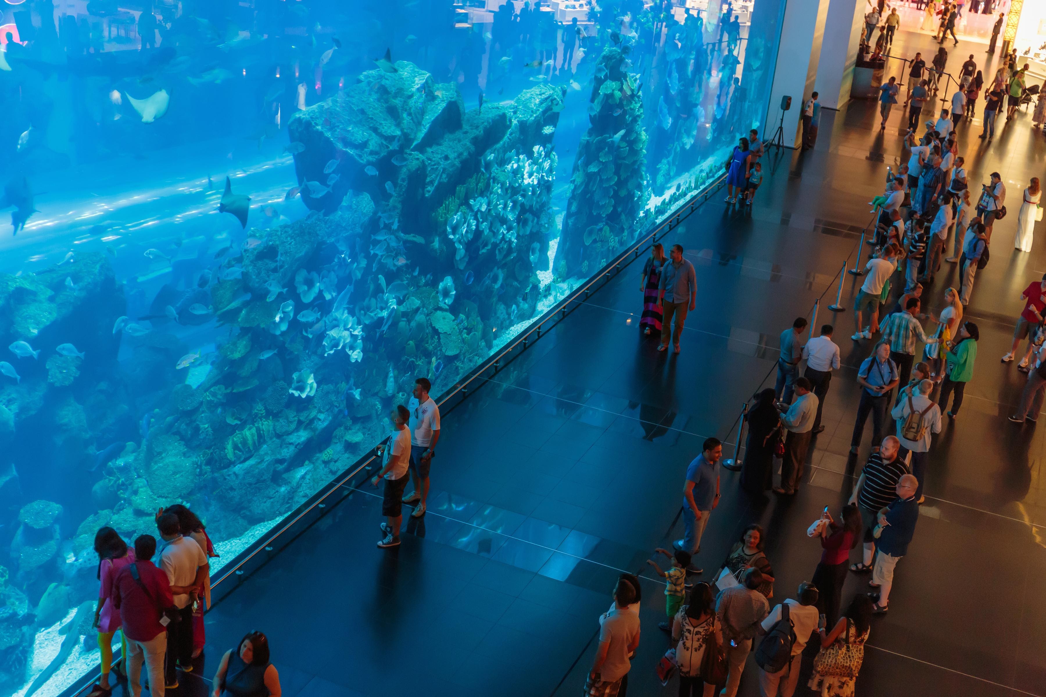 Dubai Tour Package  Image 1