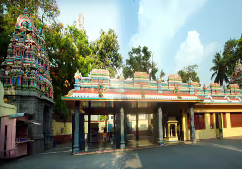 Ooty, Coimbatore Tour Package Image 7