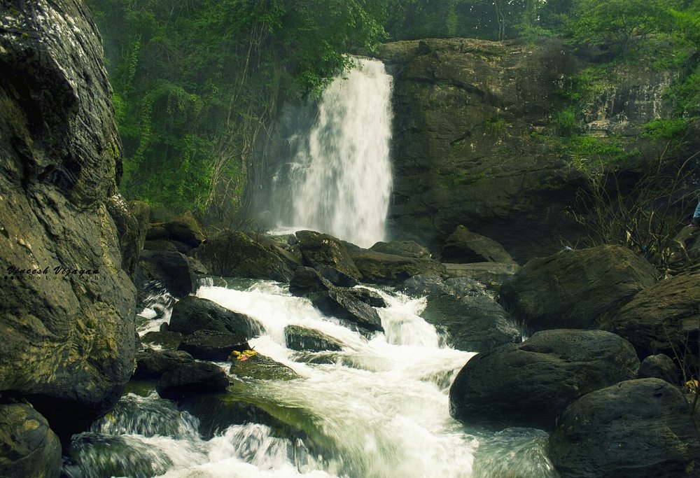 Wayanad  Tour Package Image 10