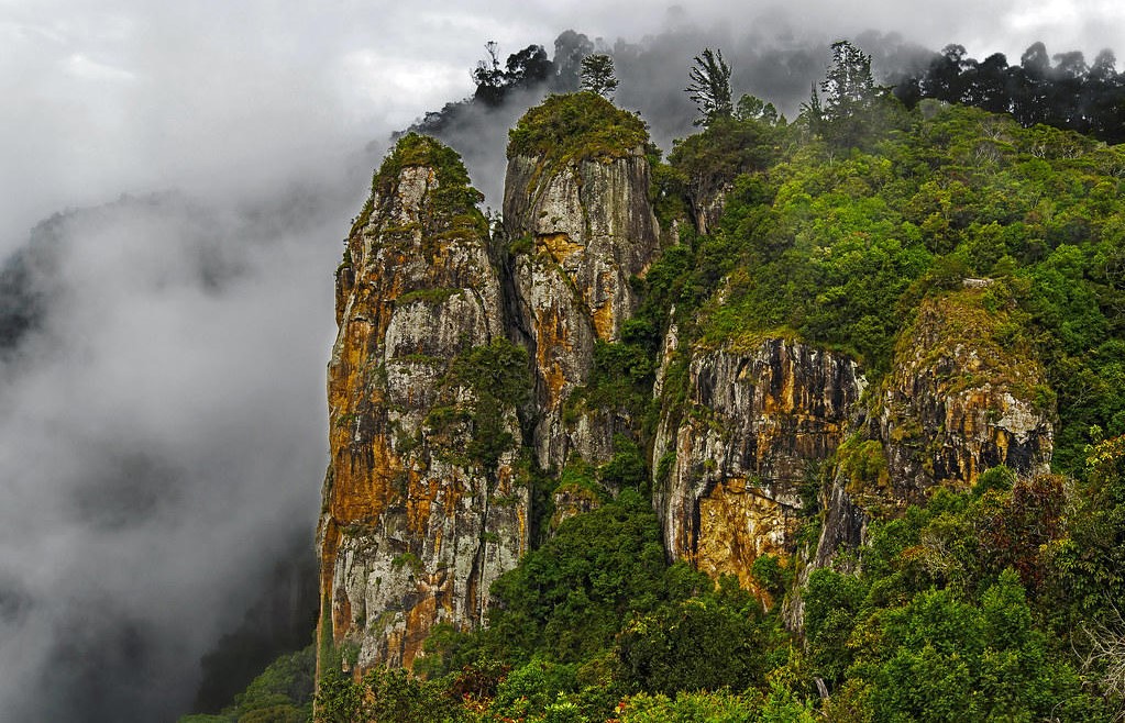 Kodaikanal & Madurai Tour Package Image 4